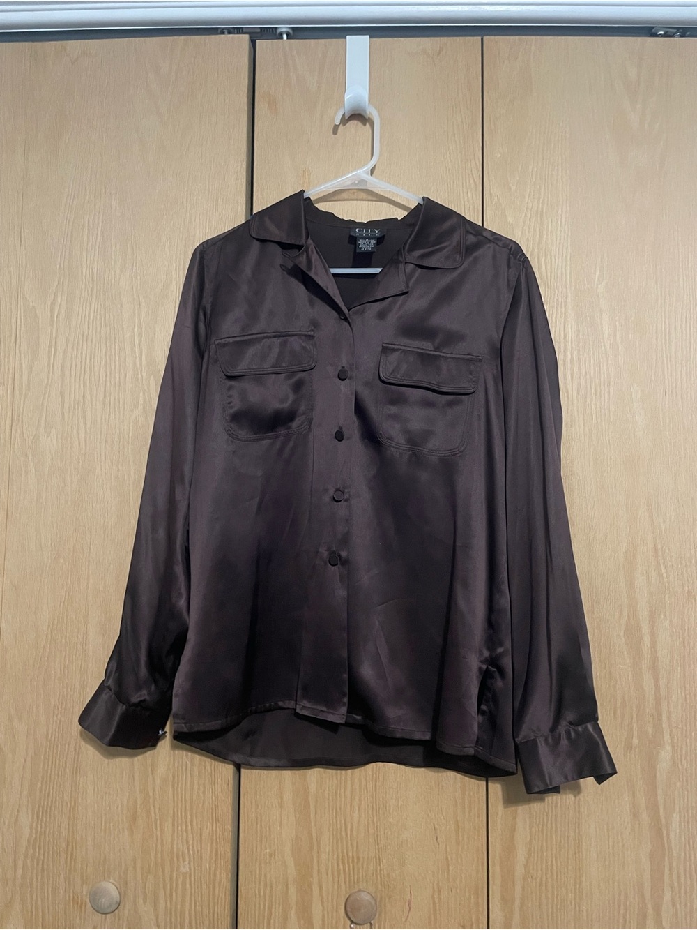 Silky Dark Brown Button-Front Blouse